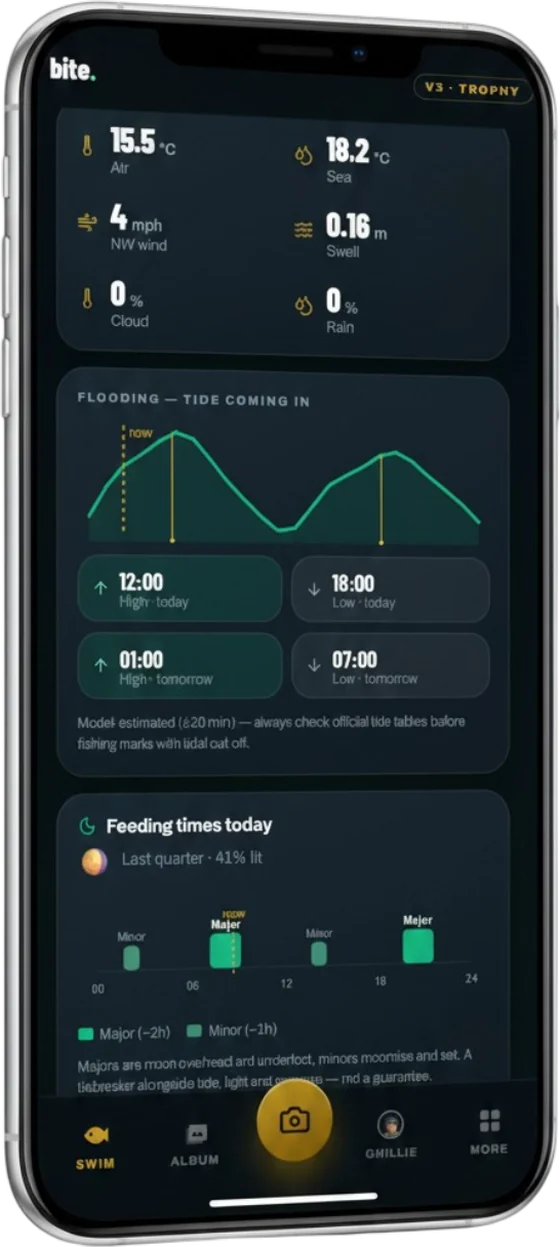 The conditions screen: air and sea temperature, wind, swell, the tide curve and today's feeding times