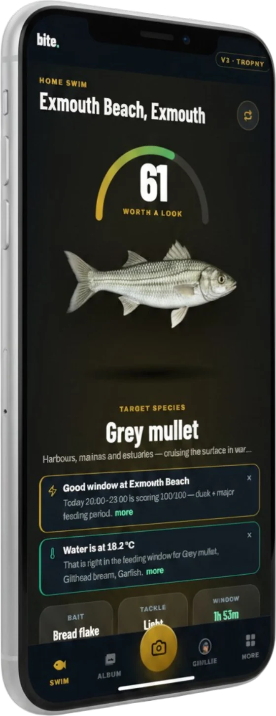 The Bite home screen, scoring a beach at 61 out of 100 with grey mullet as the target species